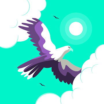 Profile photo of sajeel