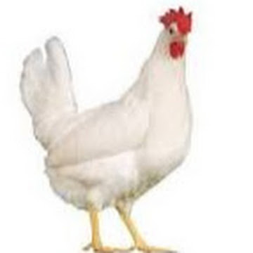 Profile photo of JONATHANSHAW